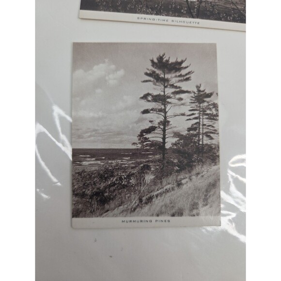 Ephemera Memorabilia Lake Michigan Chicago Area Postcard Mail Pack w Stamp 1940s - Picture 8 of 16